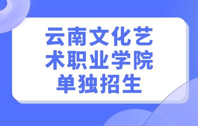云南文化艺术职业学院单独招生音乐表演专业考试要求