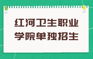 2023年红河卫生职业学院单独招生语文考试大纲