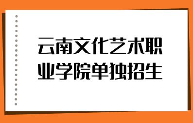 2023年云南文化艺术职业学院单独招生录取原则有哪些？